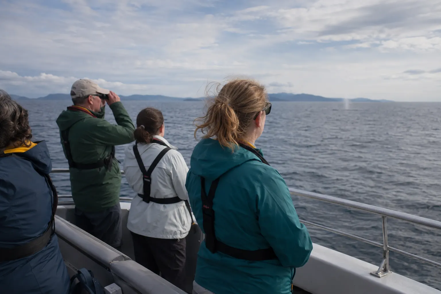 Whale-watching passengers standing behind safe rails while their small boat idles in open swell.