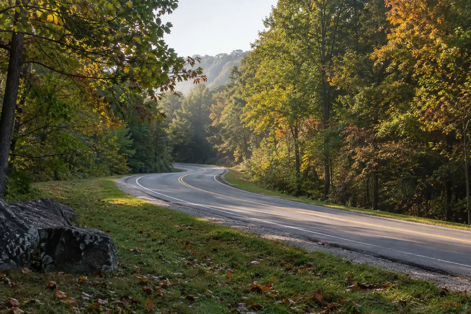 A quiet two-lane parkway following a gentle curve through woodland.