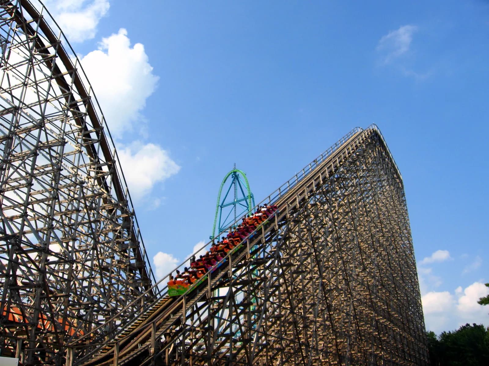 Sick in the car, fine on a roller coaster. Why the same body does both