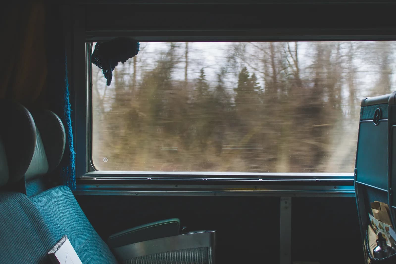 Where to sit on a train for motion sickness (and why facing backwards hurts)
