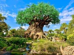 Disney's Animal Kingdom, United States
