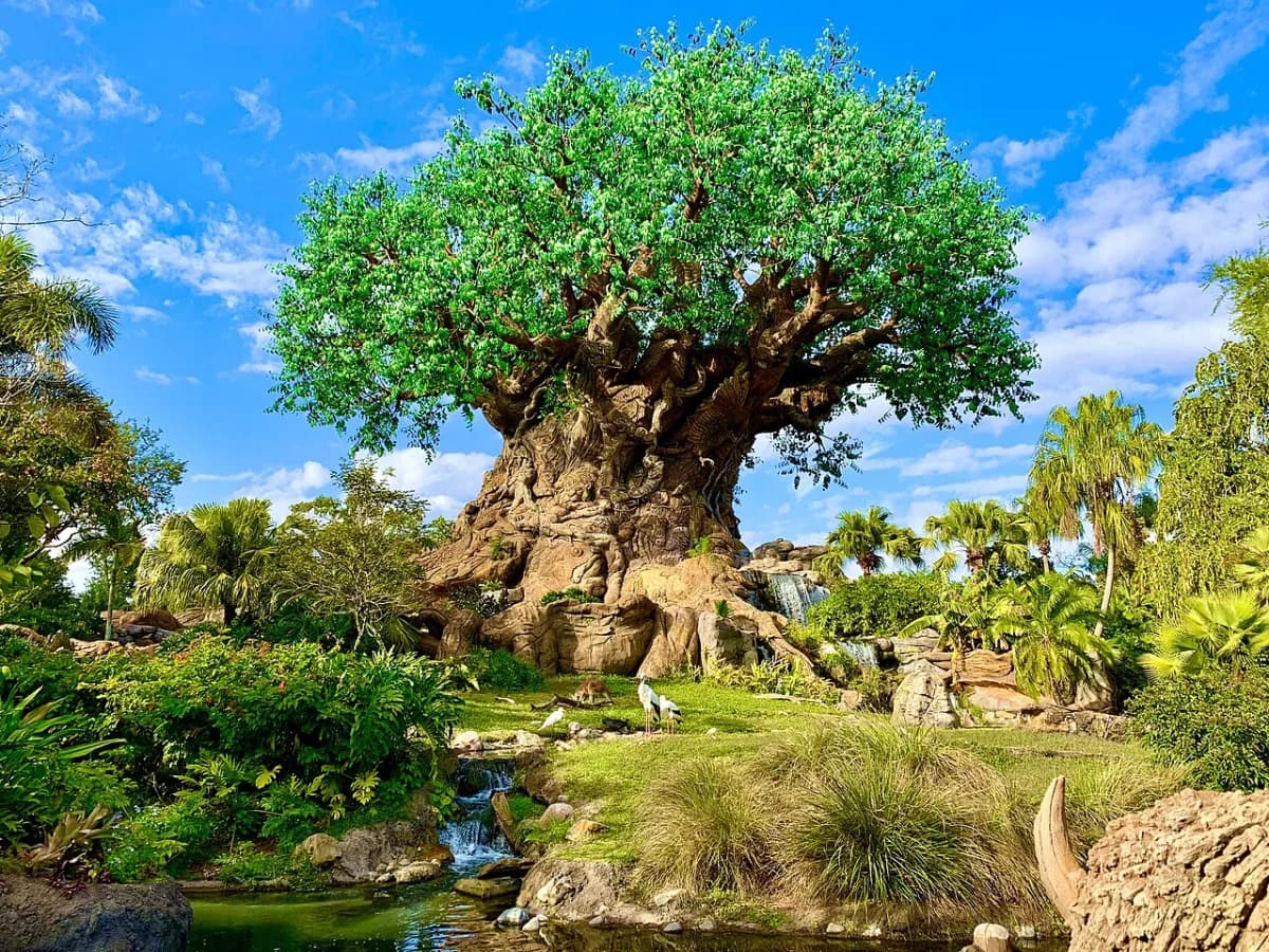 Disney's Animal Kingdom in Lake Buena Vista, Florida, United States