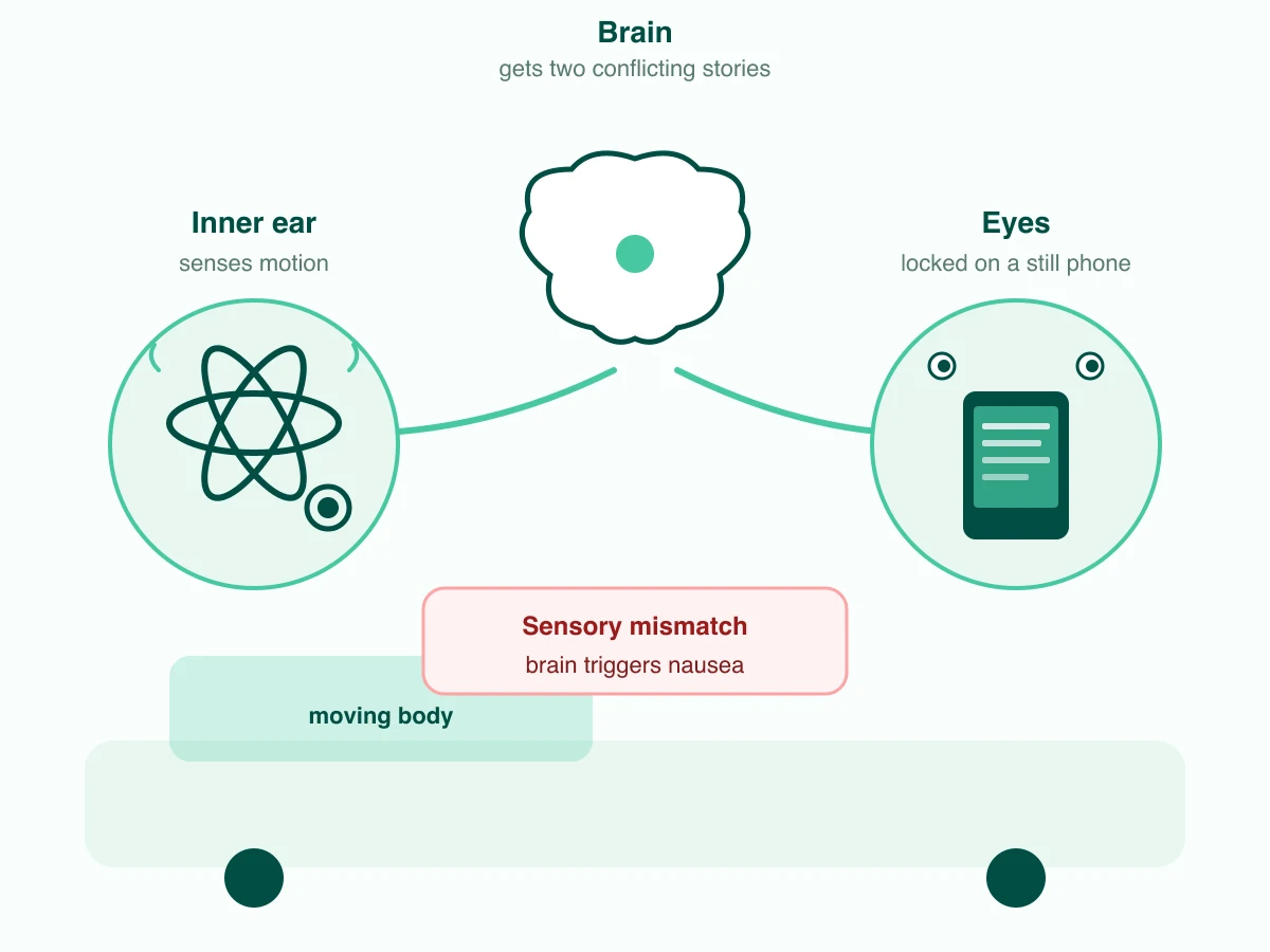 Motion sickness sensory conflict: the inner ear senses motion while the eyes stay locked on a still phone, so the brain gets two conflicting signals and triggers nausea.